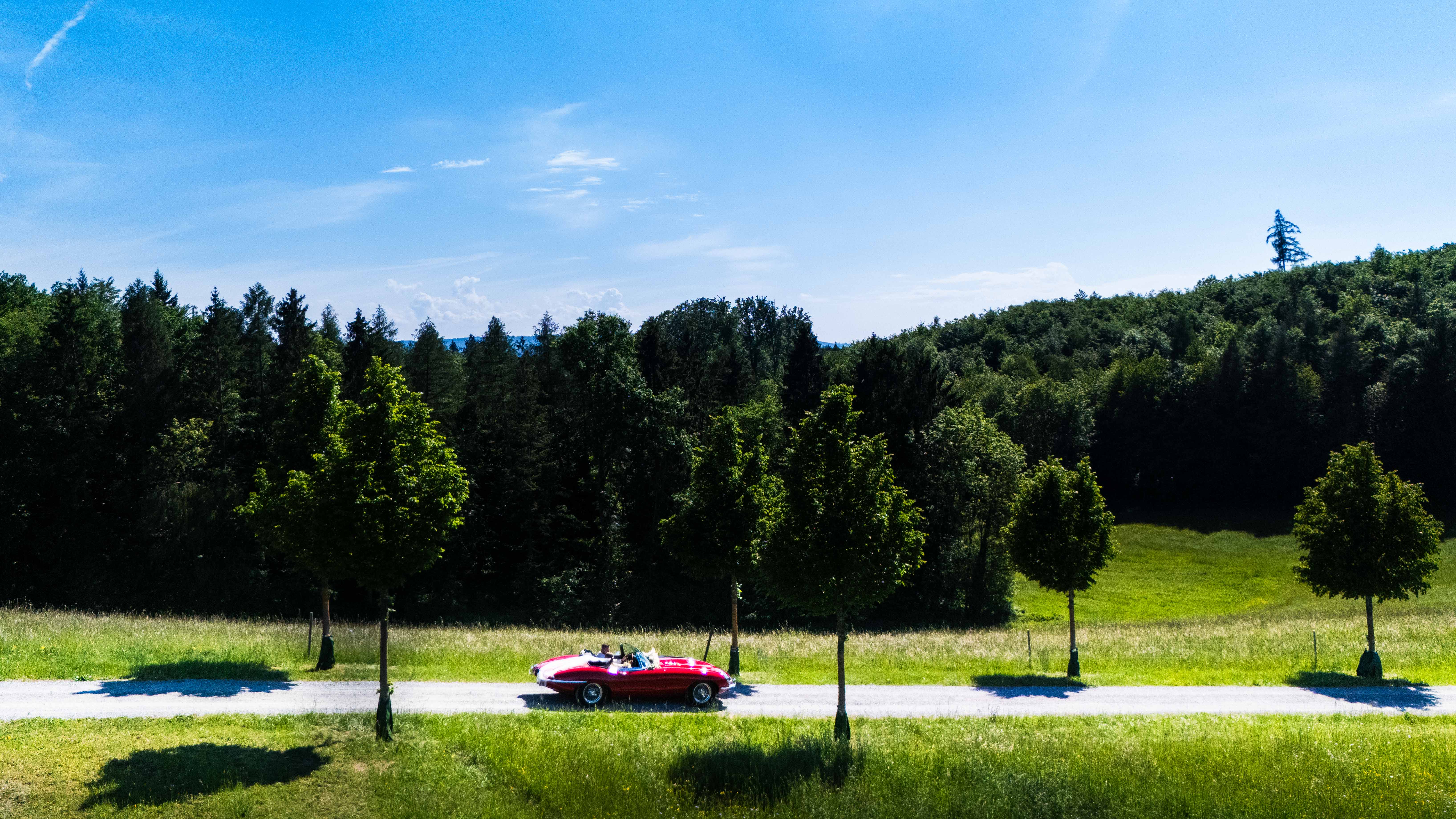 Jaguar E-Type im Grünen