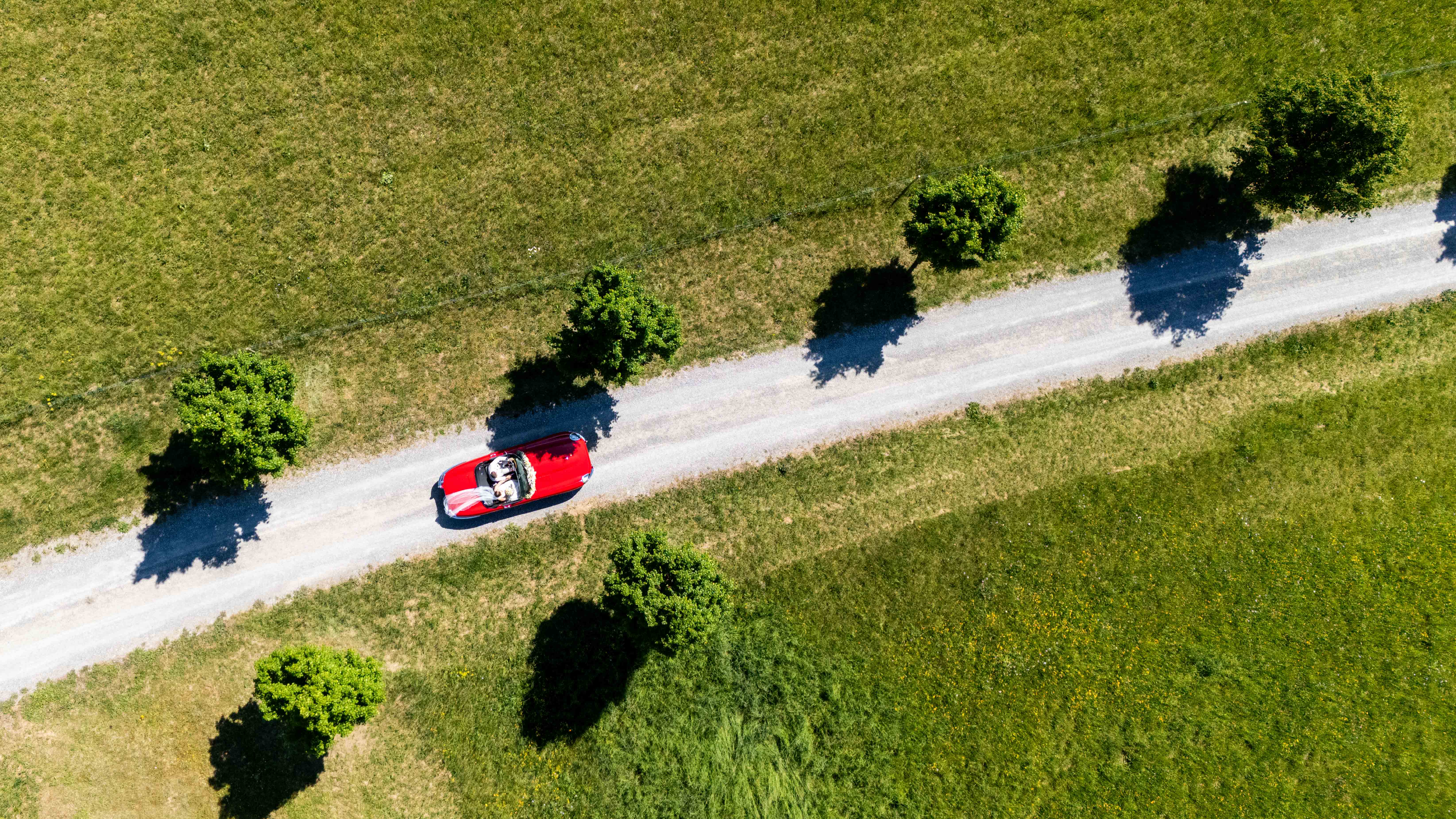 Jaguar E-Type auf Allee