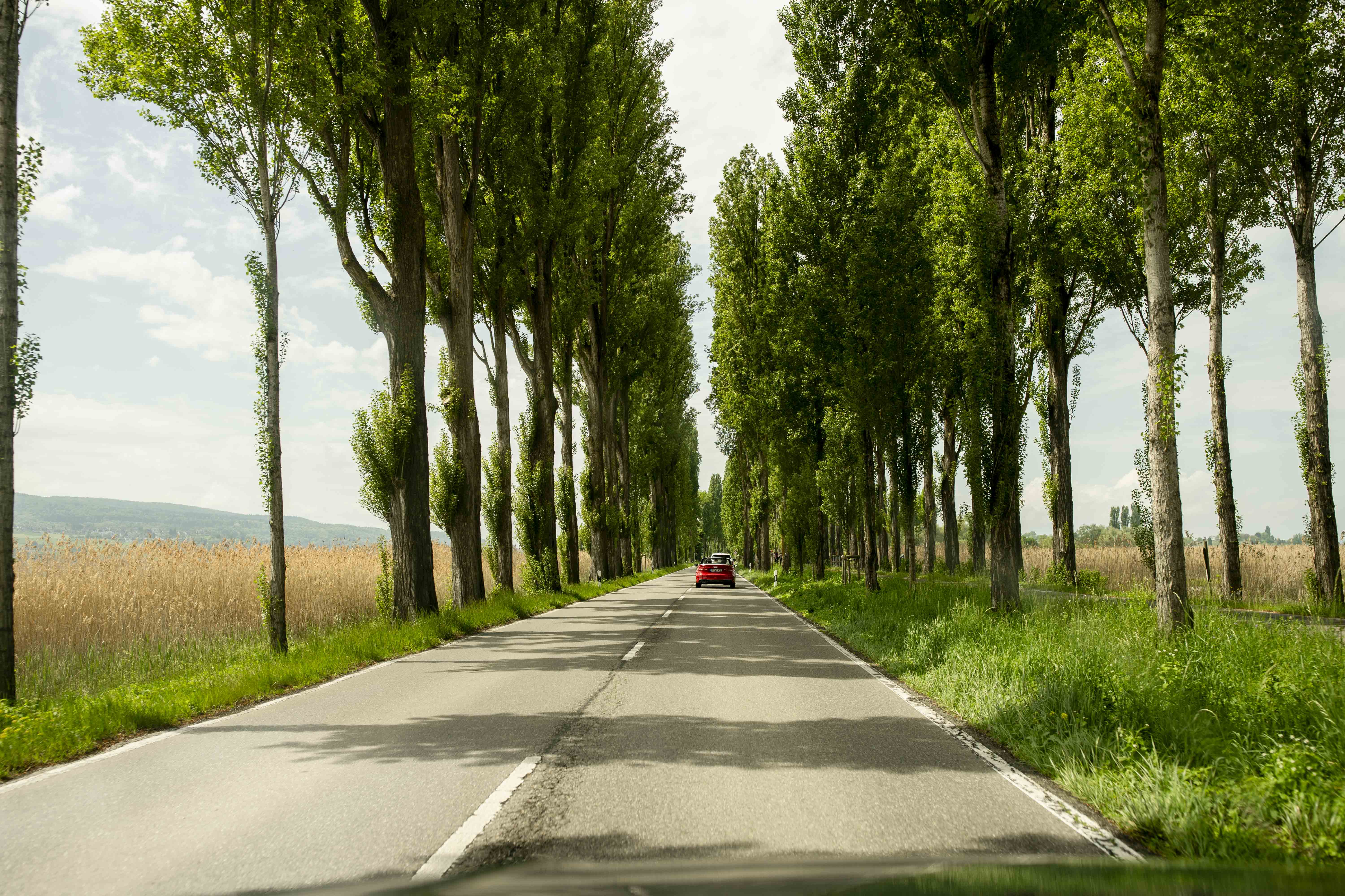 Fahrt durch die Pappelallee